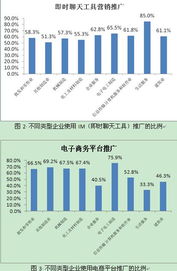 中國互聯(lián)網絡信息中心與互聯(lián)網信息服務的核心作用
